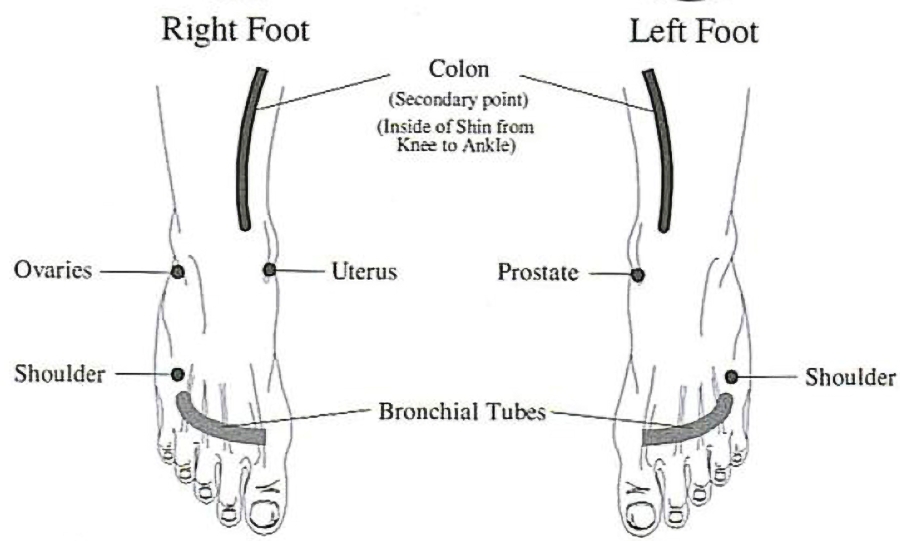 Sound footing. Стопы Флекс и поинт. Left foot right foot. Left feet для регулировки. Положение стоп Флекс и поинт.
