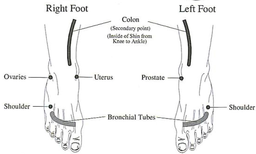 Стопы Флекс и поинт. Right foot. Положение стоп Флекс и поинт. Flex Reflex.